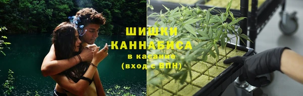 метадон Магас