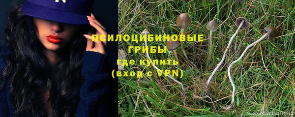 метадон Магас