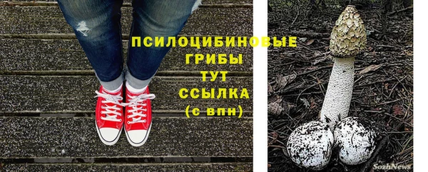 метадон Магас