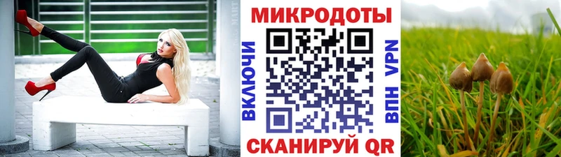 Псилоцибиновые грибы Psilocybe  Купить  Ермолино 