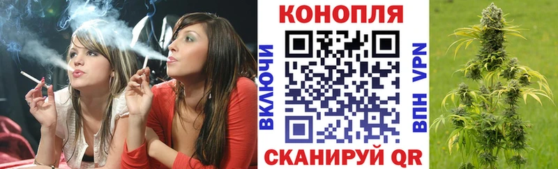 Купить где  Ермолино  Бошки Шишки сатива 